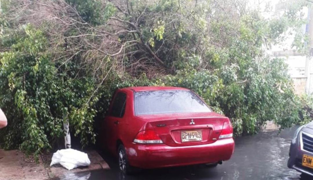 Energía en el departamento de Bolívar: Lluvias afectan servicio de energía en Bolívar