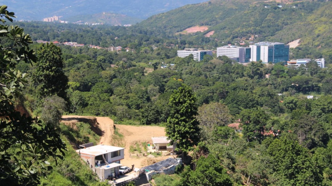 Detectan construcciones ilegales en zona de reserva forestal