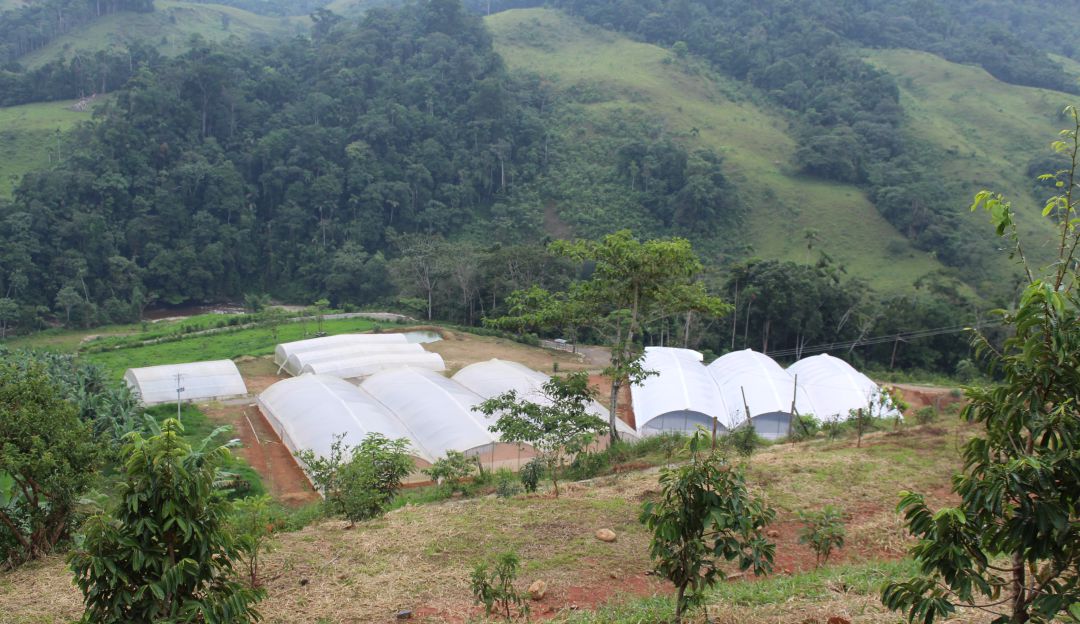 Zonas de proyectos de excombatientes