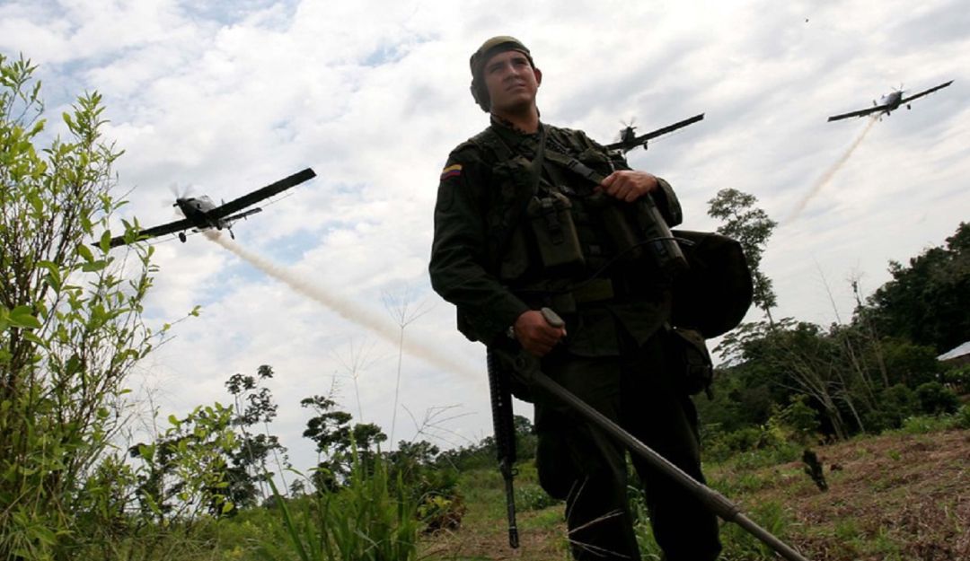 Académicos opinan sobre el uso del glifosato en Colombia: Decisión sobre glifosato divide la comunidad académica