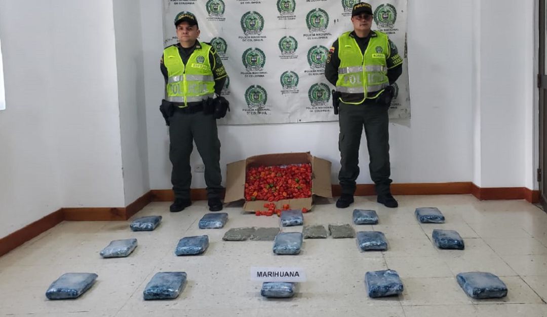 Incautan marihuana en vías de Caldas