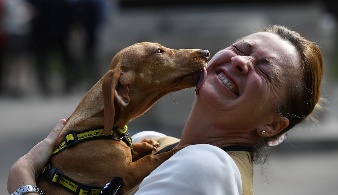 Según encuesta, personas prefieren besar más una mascota que a su pareja