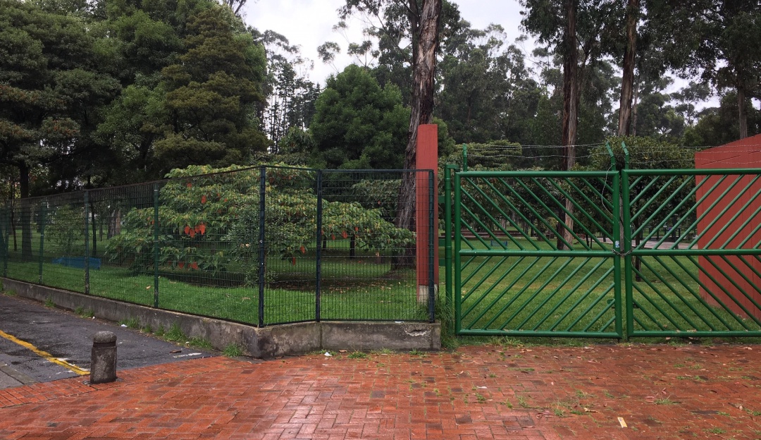 Tala de árboles Bogotá: Protestas por tala de árboles en el sur de Bogotá