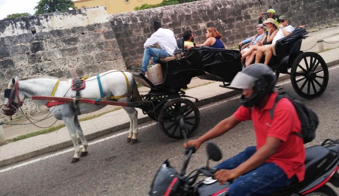 cochero Cartagena: Sancionado cochero en Cartagena por llevar seis pasajeros adultos