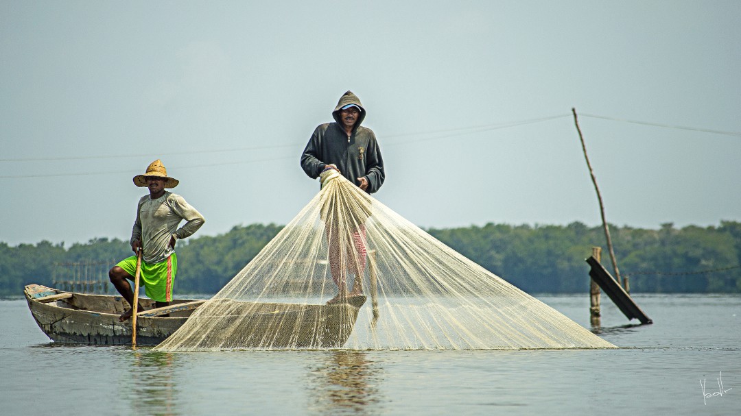 Colombia apenas produce la mitad del pescado que consume