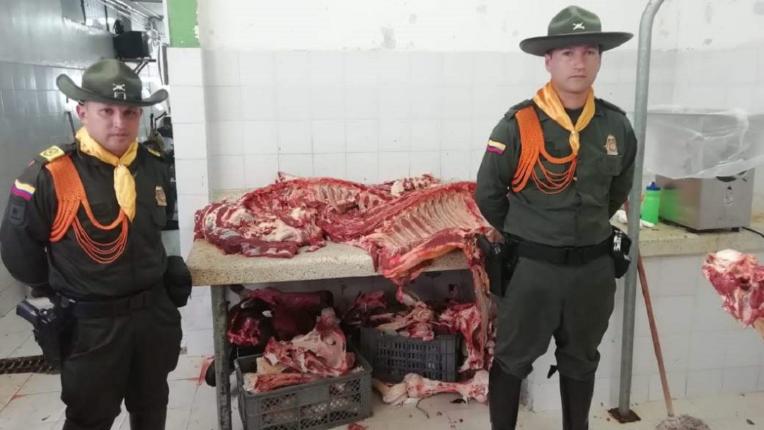 Incautan dos toneladas de carne por insalubridad en Chinchiná