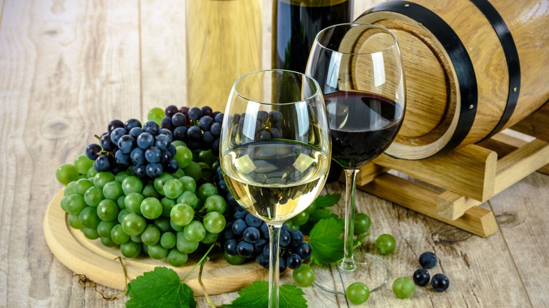 ¡Vuelve EXPOVINOS 2019!