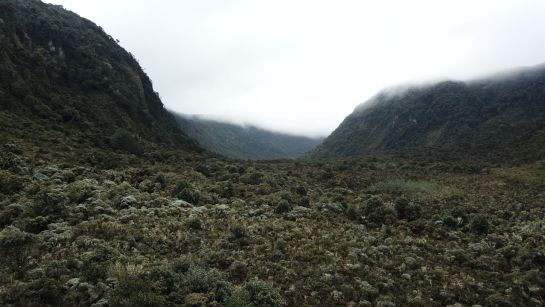 Páramo en Pasto Páramo en Pasto