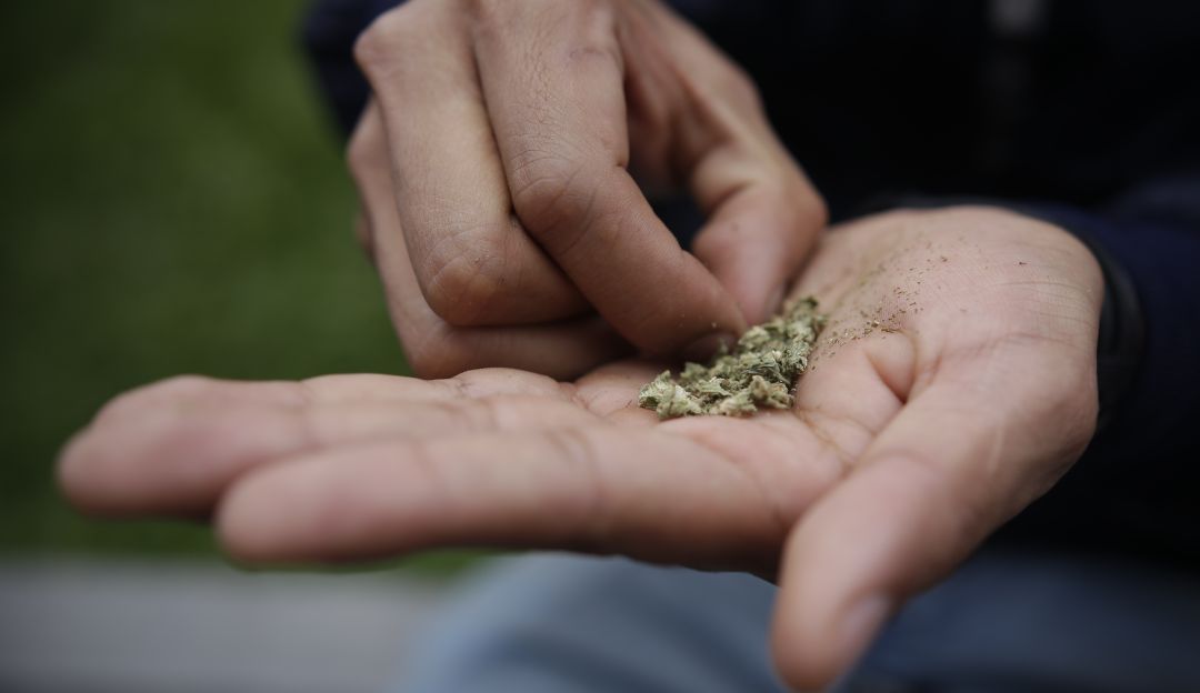 Consumo de marihuana: Liberalismo buscará despenalizar marihuana de uso recreativo
