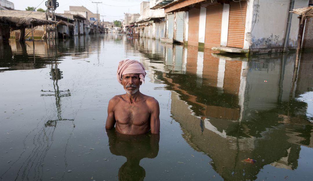 El cambio climático afecta la salud: El cambio climático puede causar deficiencia psíquica, obesidad y depresión