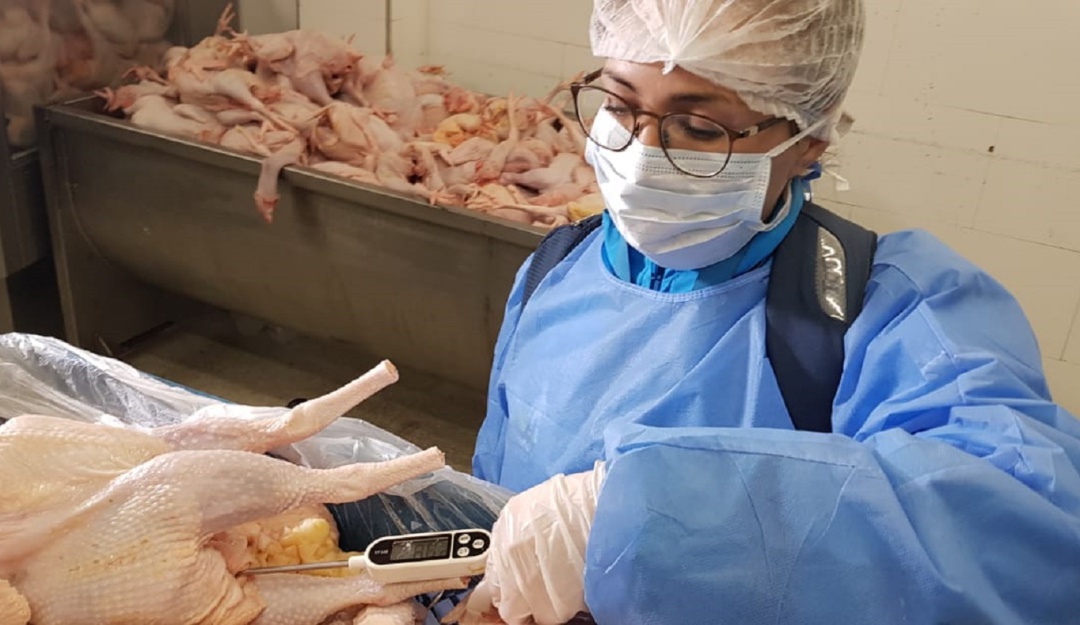Pollo en mal estado: Decomisan tres toneladas de pollo en mal estado en Bogotá