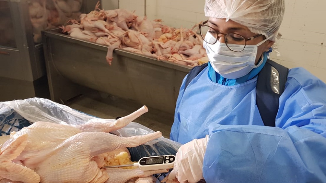 Decomisan tres toneladas de pollo en mal estado en Bogotá