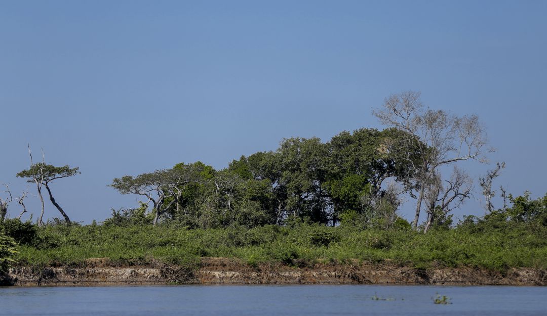 Amazonía