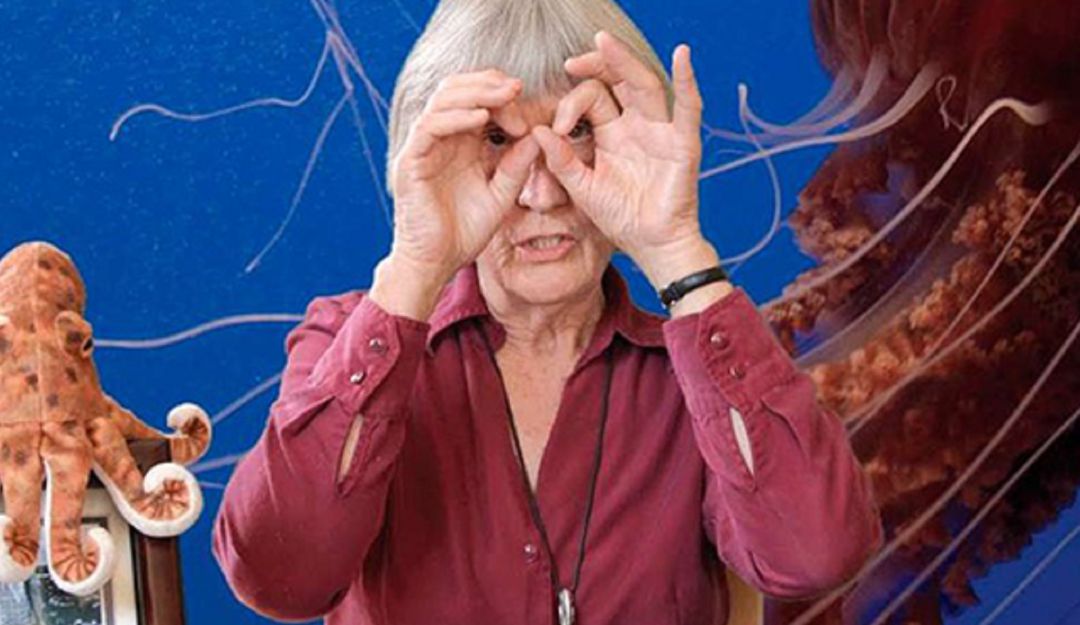 Conversatorio de Donna Haraway: Donna Haraway ya está en Colombia