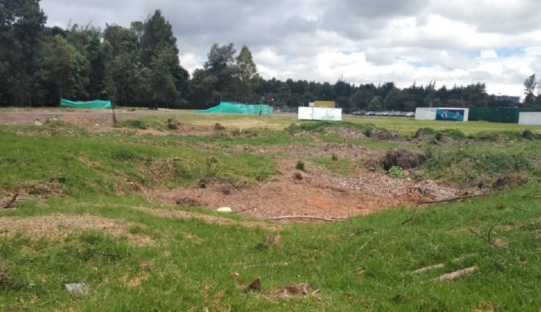 Animales muertos humedal Salitre: Aparecen más animales muertos en otro humedal de Bogotá