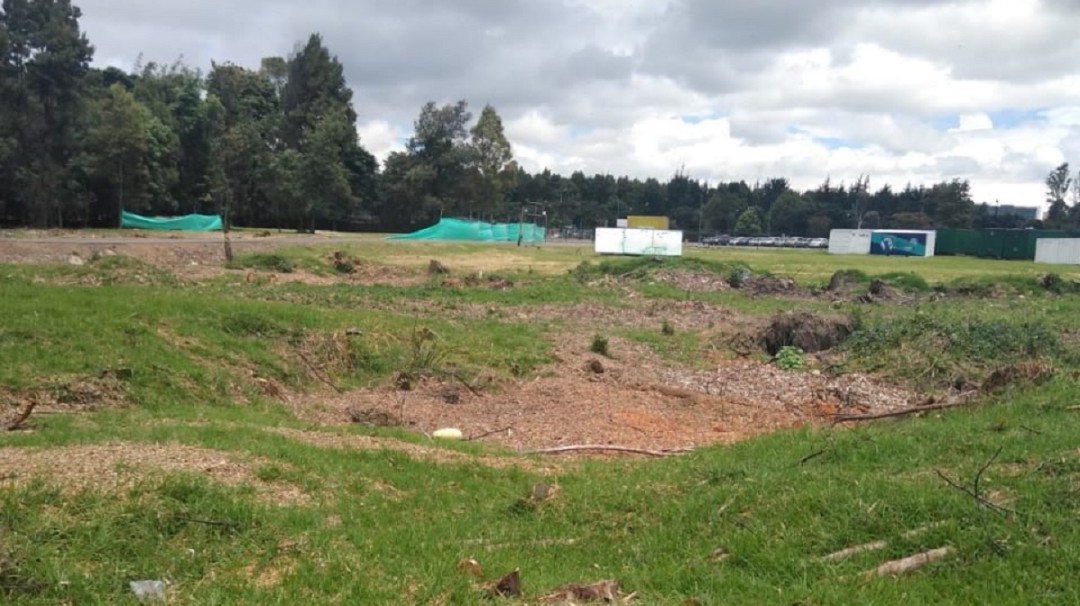 Aparecen más animales muertos en otro humedal de Bogotá