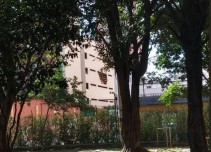 Vehículo cayó de tercer piso y murieron dos mujeres