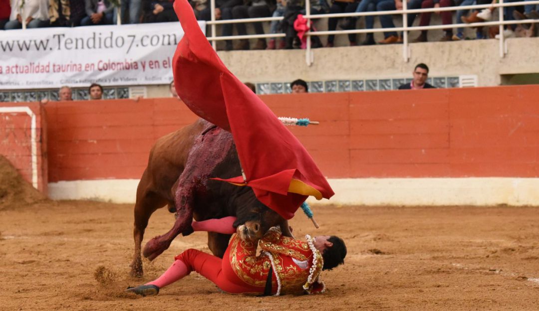 Moreno Muñoz recibe grave cornada en el cuello