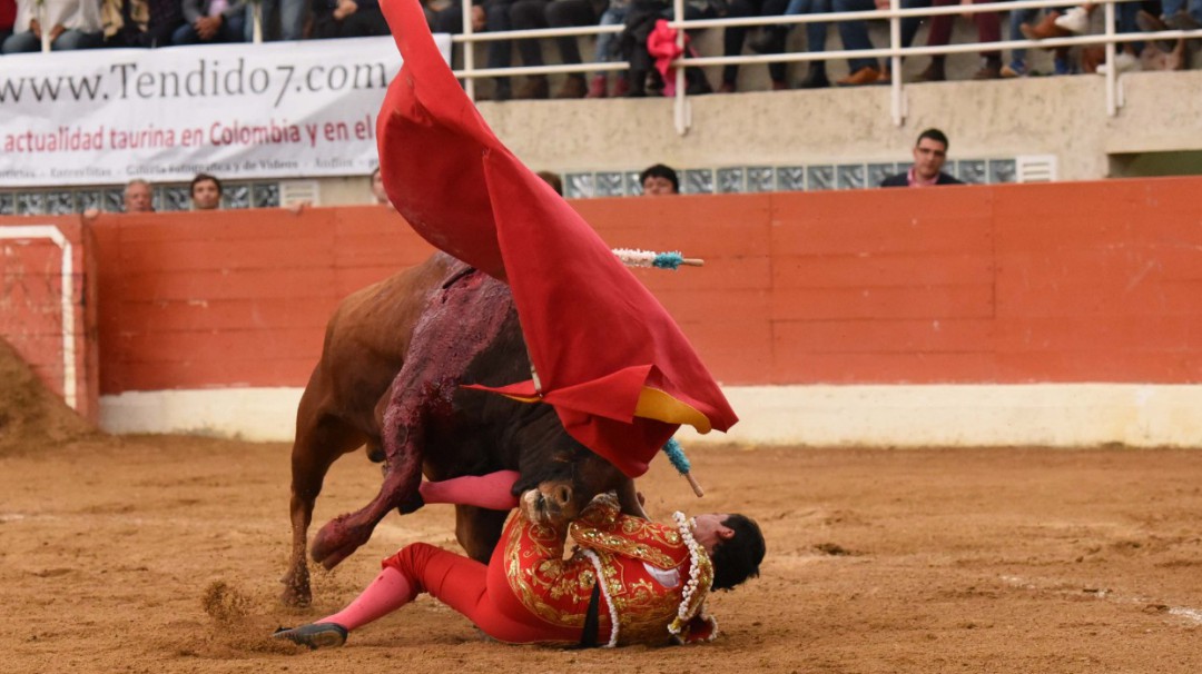 Moreno Muñoz recibe grave cornada en el cuello