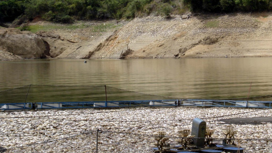 Declaran alerta amarilla en la represa de Betania