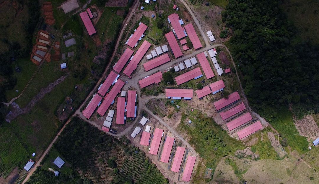 Niñez YA: Denuncian baja inclusión en temas de niñez en PDT de zonas de conflicto