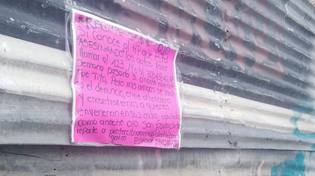 Denuncian asesino en serie de gatos en el sur de Bogotá