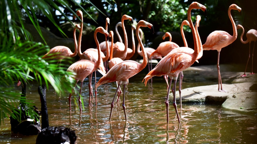 Último fin de semana del Port Oasis Ecopark en Cartagena