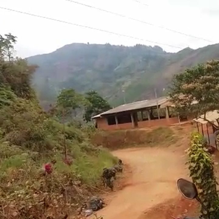 Narcotráfico y minería ilegal: Motivo de combates entre ex-Farc y Ejército