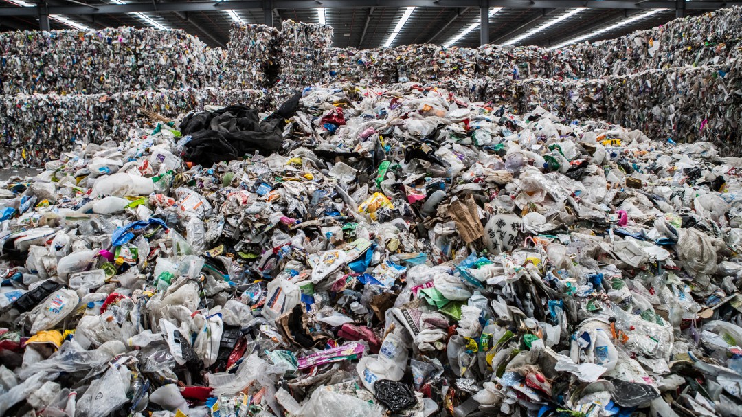 El reciclador que sacó adelante a sus hijos a punta de basura