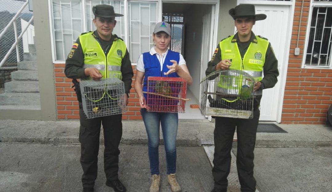 Aves en cautiverio