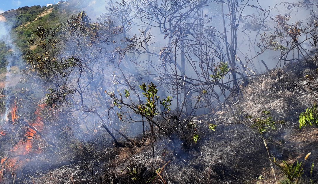 Incendio forestal en Nariño: Incendios y bajas temperaturas en Nariño