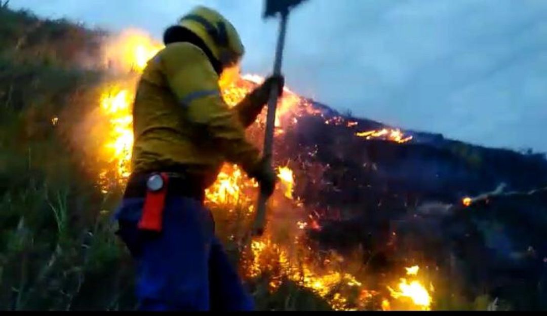 Por incendios forestales, recompensas para denunciar pirómanos en el Valle: Por incendios forestales, recompensas para denunciar pirómanos en el Valle