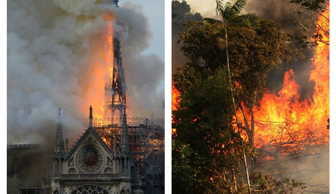 Catedral de Notre Dame - Amazonía
