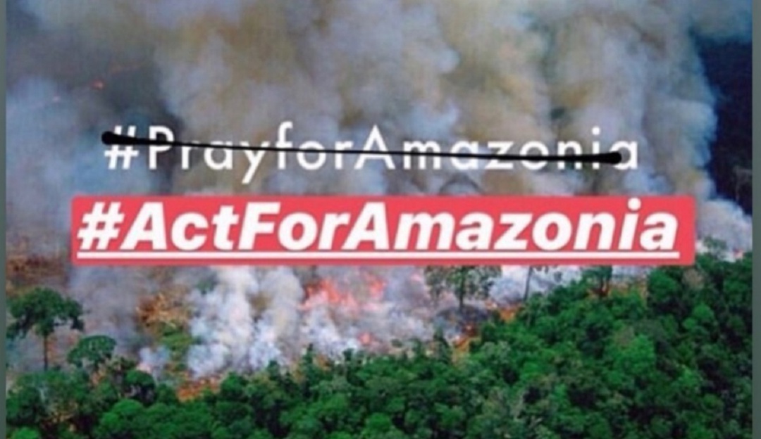 Incendio Amazonas: ¿El activismo en redes sociales apaga incendios?