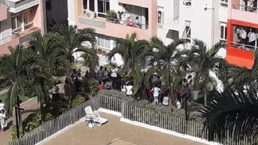 Un perro murió tras ser lanzado desde un edificio en Cartagena
