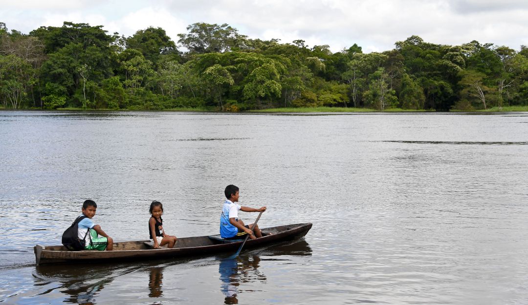 Incendio forestal Amazonas: Entienda en 5 datos la importancia de la Amazonia