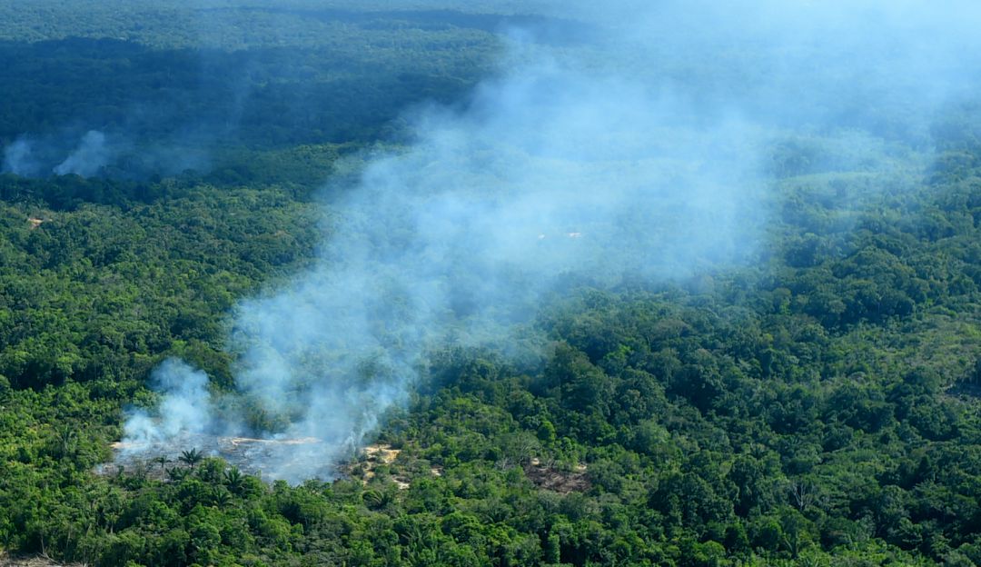 Incendio en el Amazonas: Las seis amenazas para la Amazonía