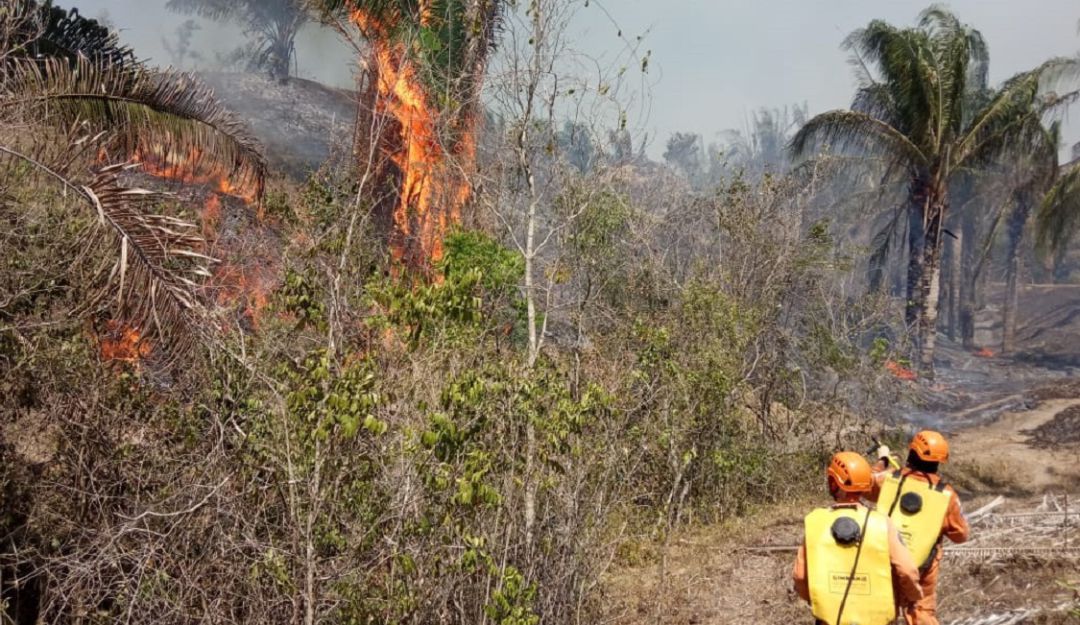 Incendios forestales en Colombia: Incontrolable incendio forestal registrado en Honda, Tolima