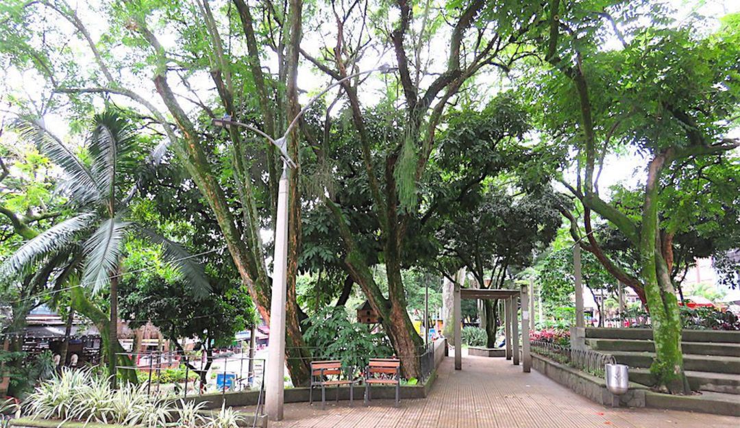 Comerciantes del Parque Lleras señalan un incremento en la inseguridad