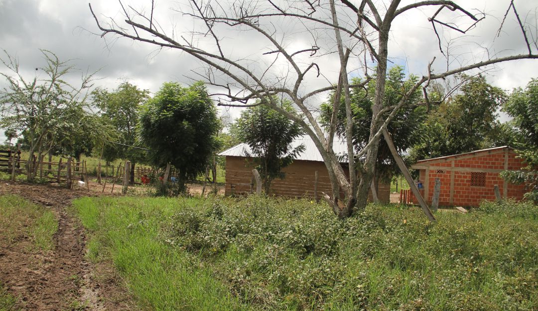 Restitución de tierras Colombia: Colombia tiene 40 zonas nuevas para restitución de tierras