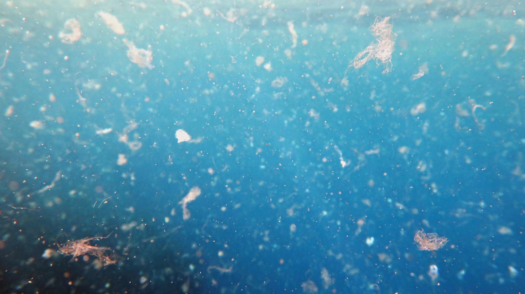 La OMS señaló que los microplásticos aún no serían un problema sanitario