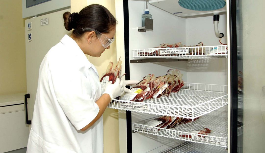 Donadores compatibles para enfermedades sanguíneas: Crean base de datos con donantes de células formadoras de sangre