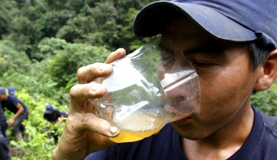 Consumo de agua de panela