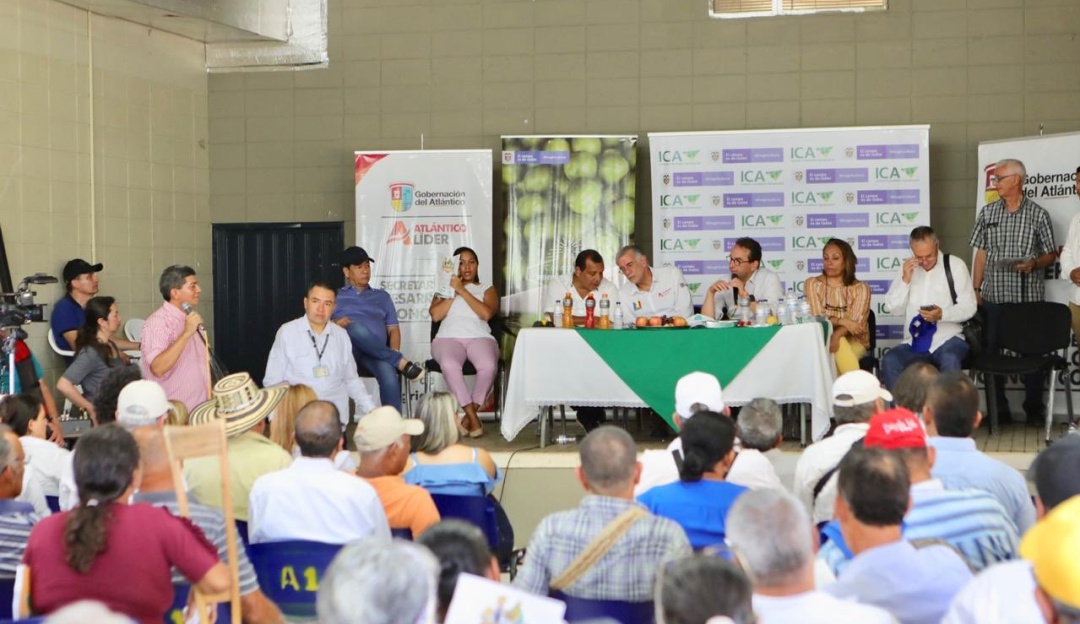 Reunión de Minagricultura con más de 200 productores del Atlántico.