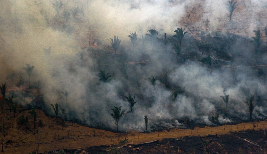 Incendios Amazonía Brasil: Brasil combate incendios en Amazonía tras aparición de nuevos focos