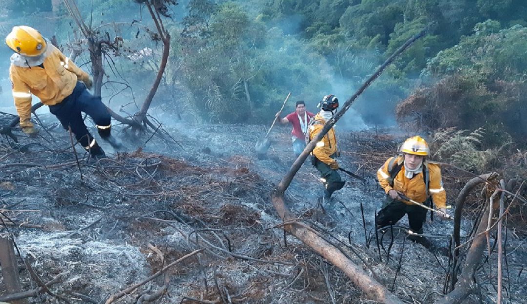 incendio daños cultivos: Tres incendios forestales ha tenido Anserma los últimos días