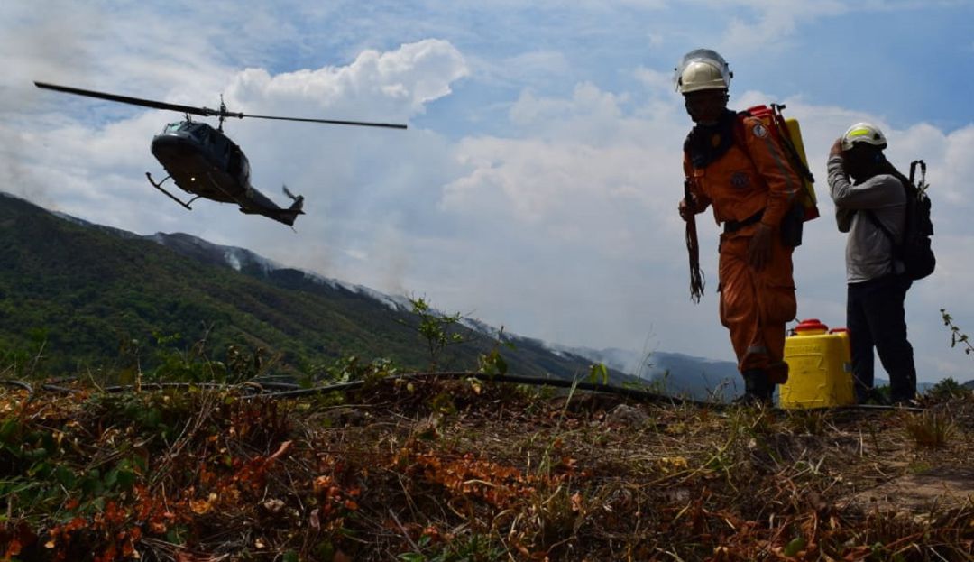 Enfermedades virales por incendios forestales: Incendios forestales aumentan enfermedades virales en Tolima
