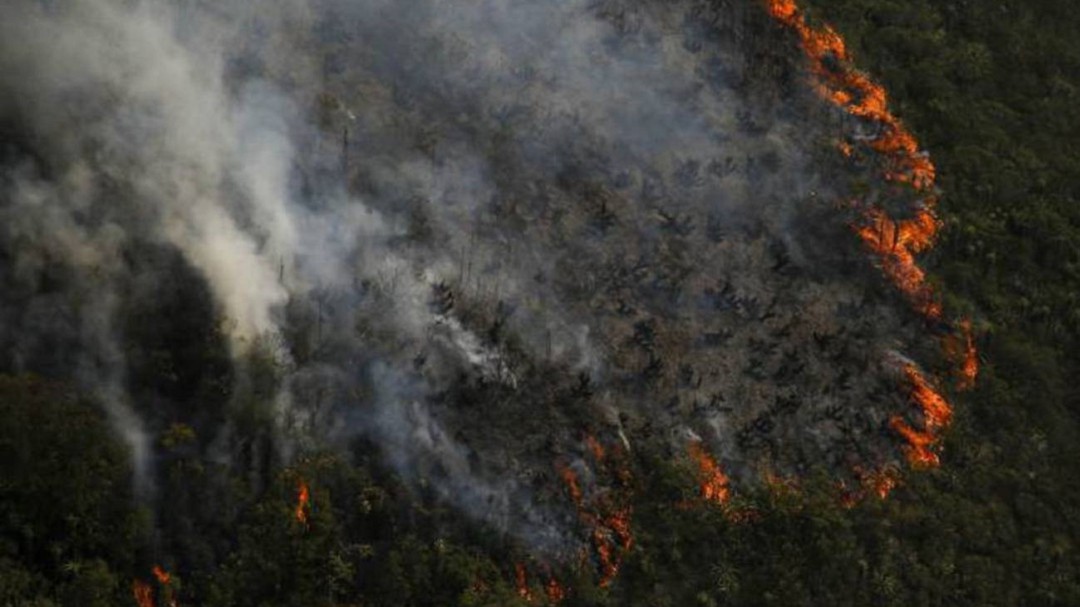 Activan alertas por riesgo de incendios forestales en la Sierra Nevada