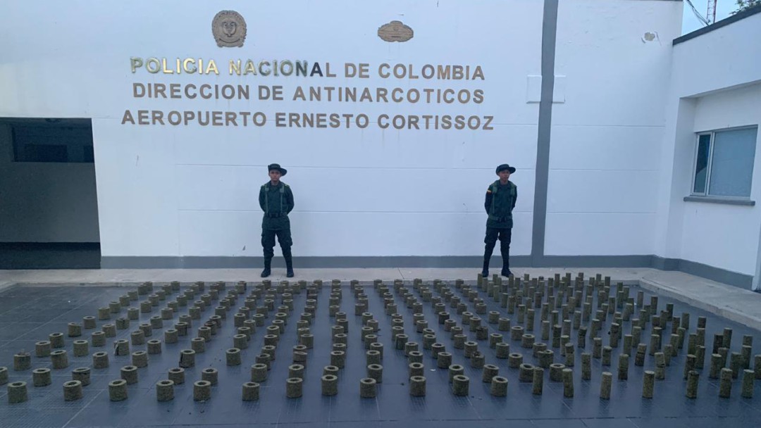 Canina de la Policía halló más de 380 mil gramos de marihuana