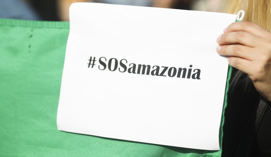 Ayuda mundial crisis de la Amazonía: Usted también puede ayudar al Amazonas sin ir hasta allá